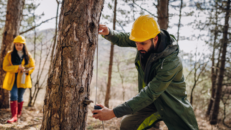 Noticia_1_DICIEMBRE_2025